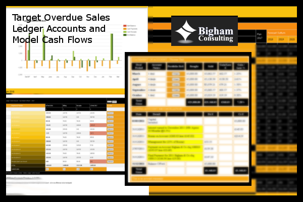 Bigham Consulting Cash Forecast Model Screen Shots 